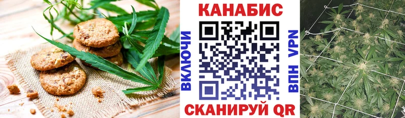 закладки  Лосино-Петровский  Canna-Cookies марихуана 