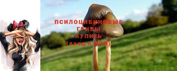 spice Балабаново