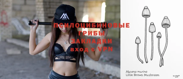 spice Балабаново